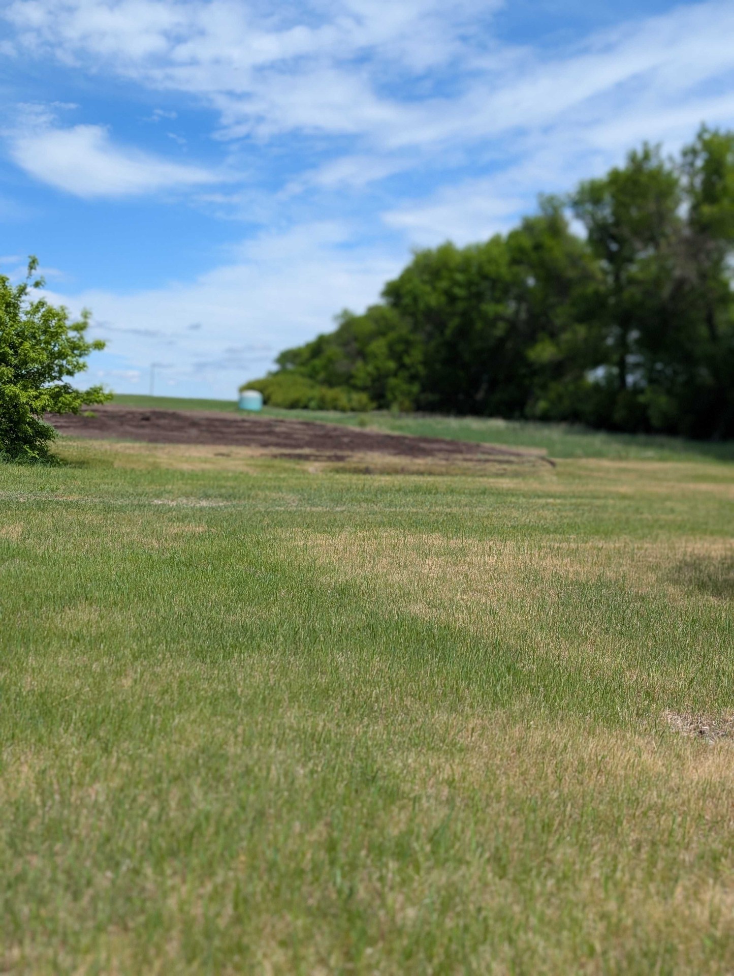 Garden Plot