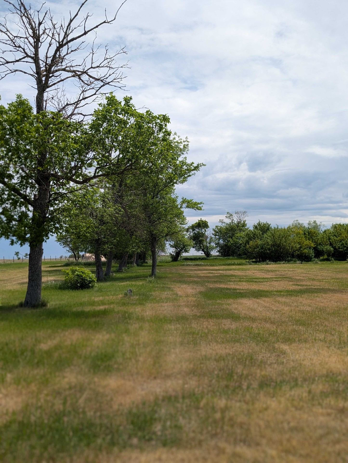 Open Grounds